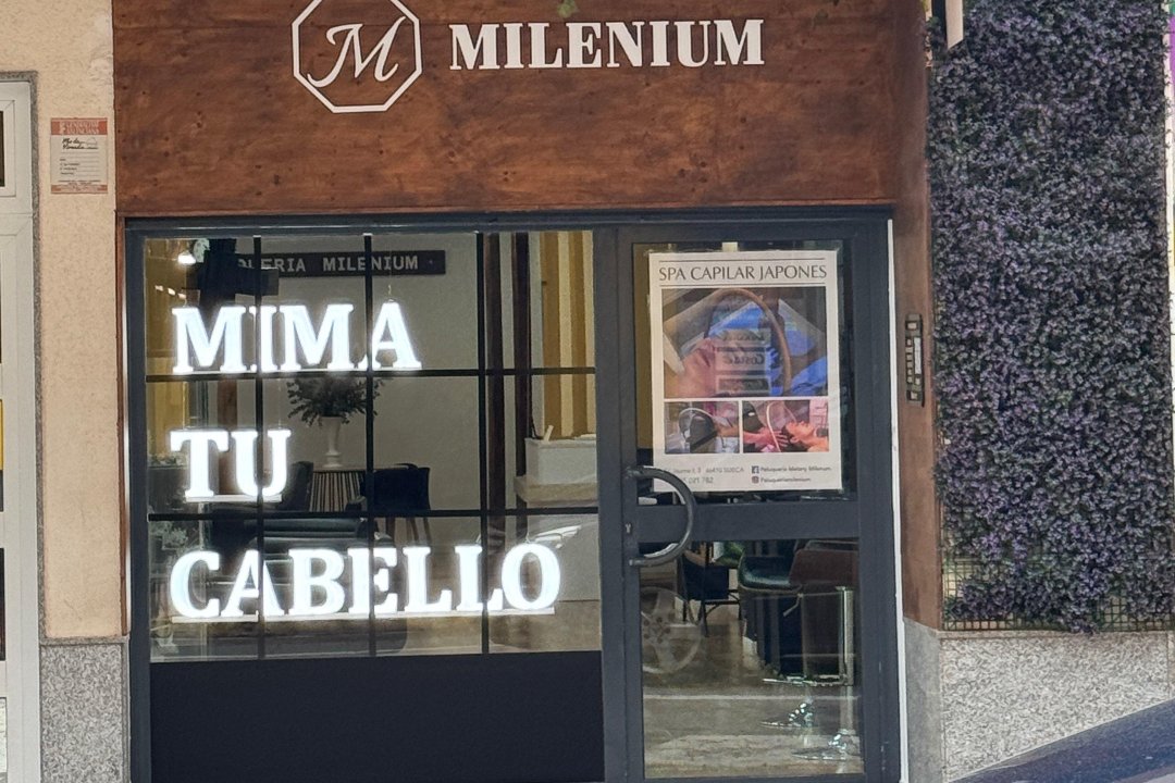 Peluqueria Milenium, El Perellonet, Valencia