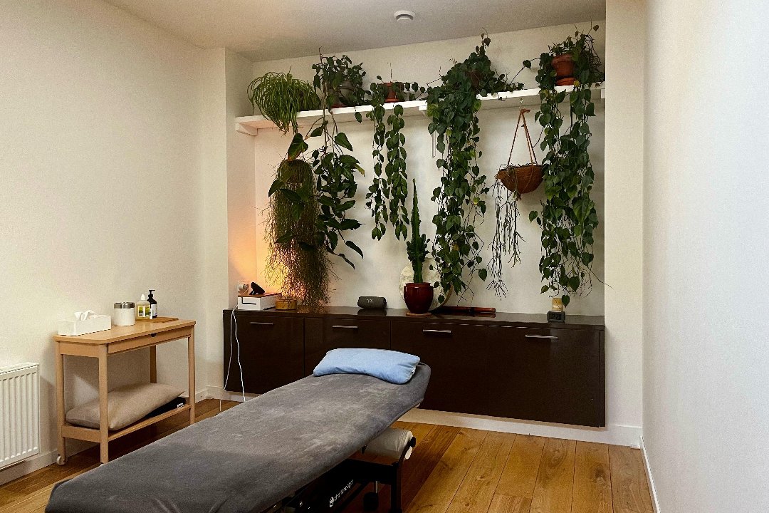 Zilverzout, Quartair, The Hague