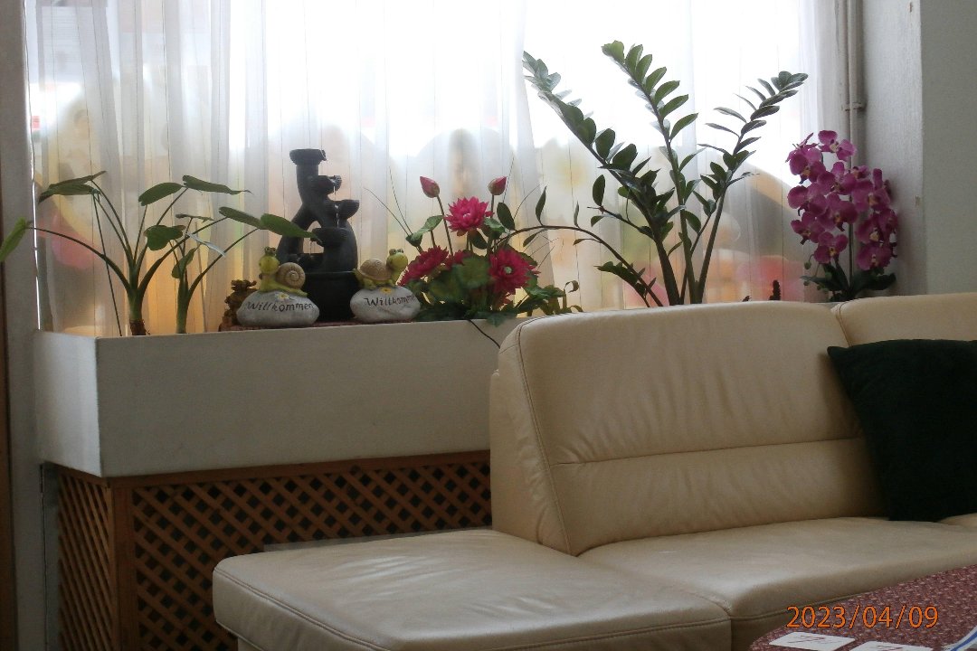 Sabay Massage, Nibelungenviertel, Wien