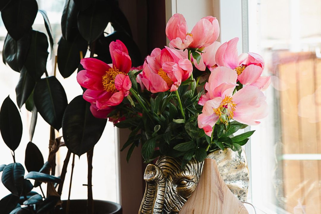 Sisi Bisschop , Zaandam, Noord-Holland