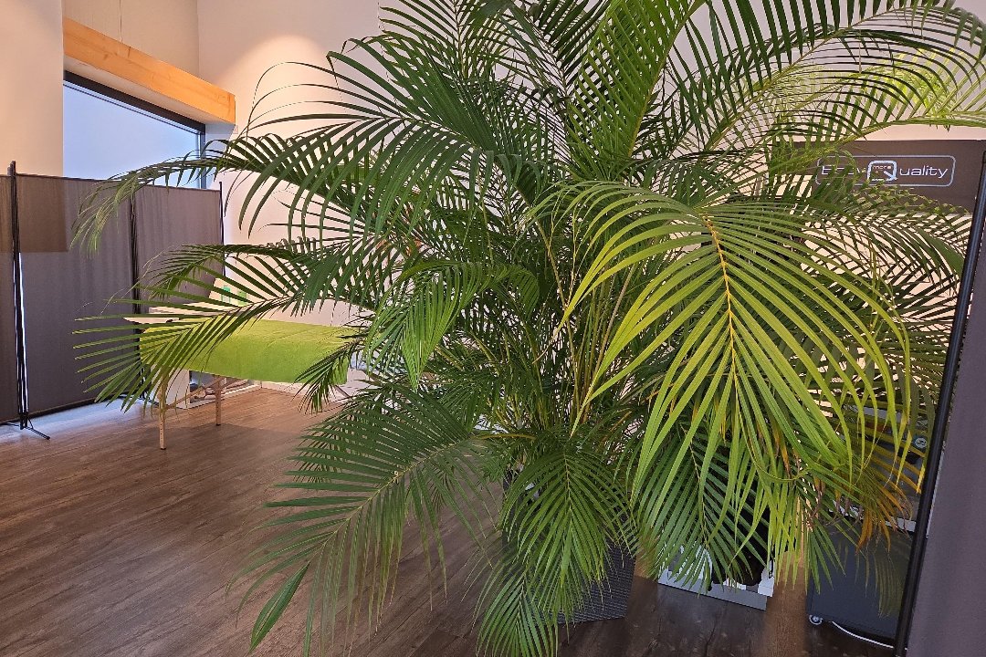 Bodyquality, Leobersdorf, Wien und Umland