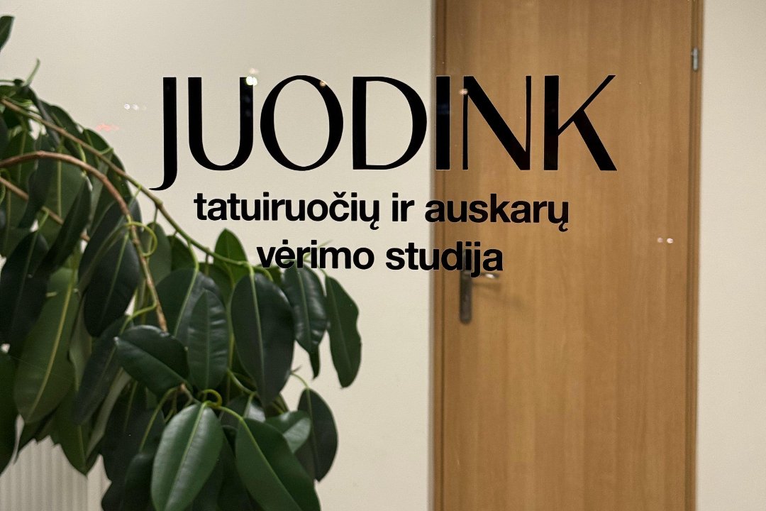 Studija Juodink, Šanciai, Kaunas