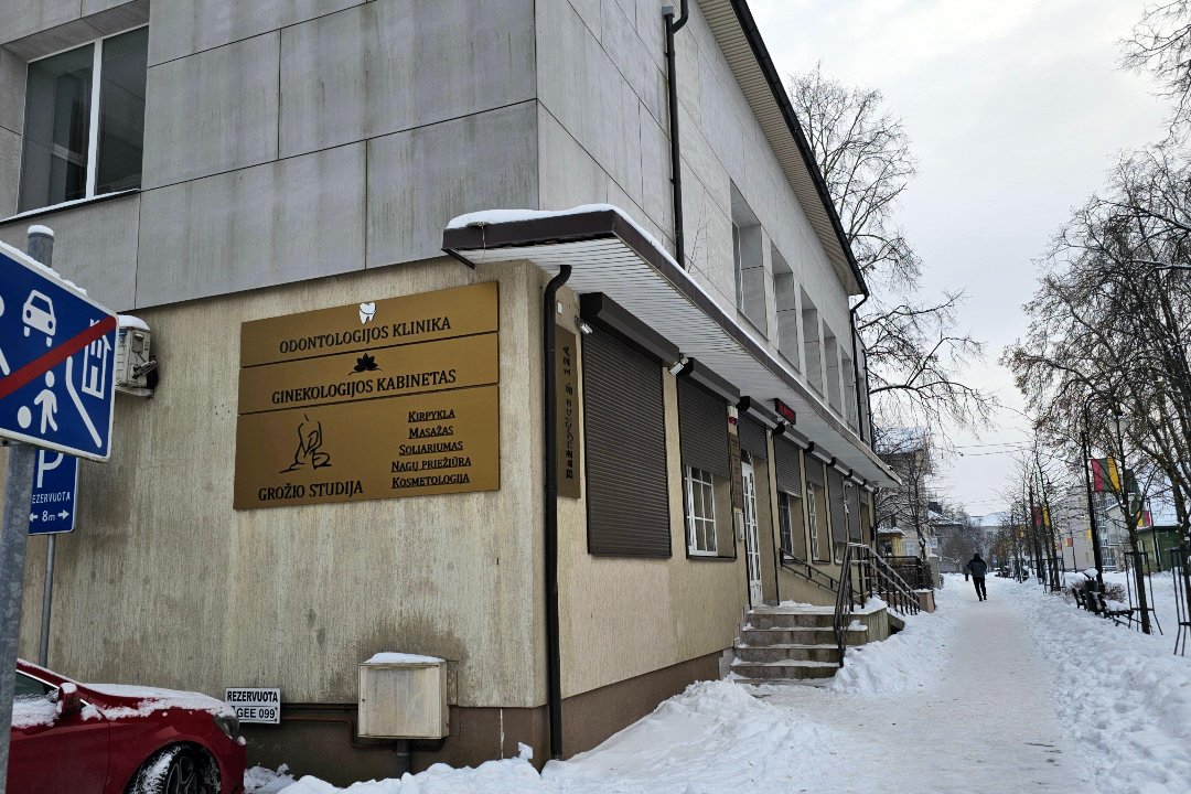 Hairstylist-Karina, Lentvaris