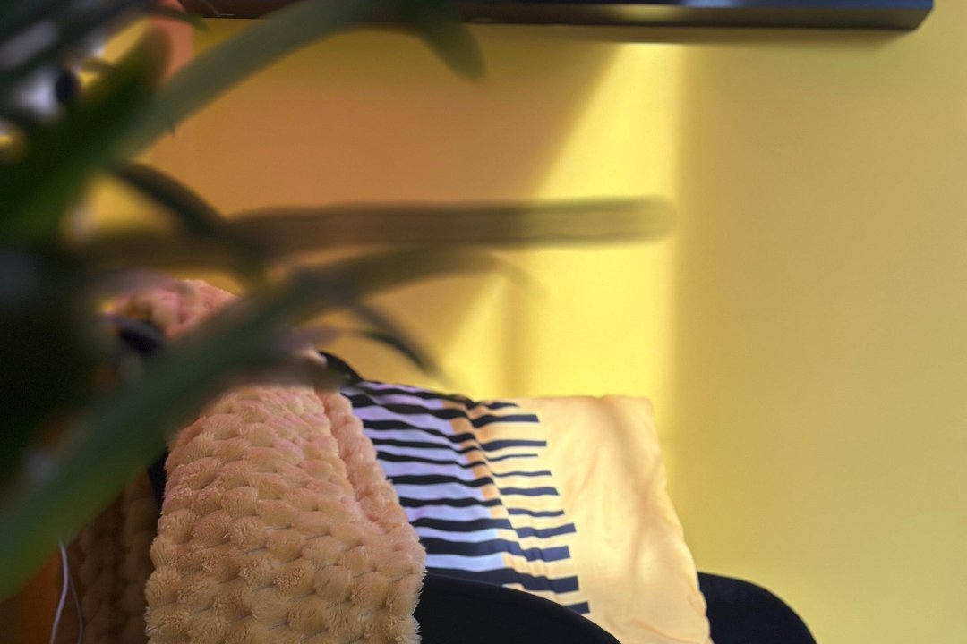 LakLust, haarlem, Noord-Holland