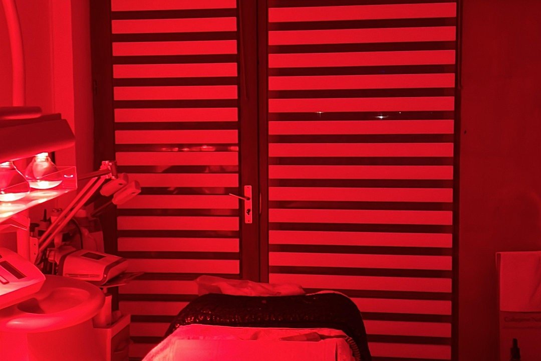 L'institut de l'abbaye, Saint-Maur-des-Fossés, Val-de-Marne