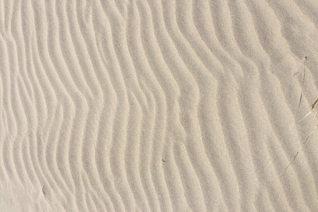 Sonatos auskarų vėrimas Palanga / Piercing +37067000275, Kunigiškiai, Palanga