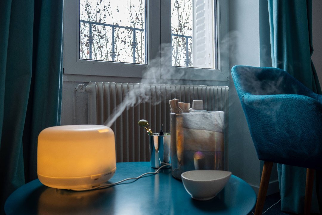 Institut Kodama, Croissy-sur-Seine, Yvelines