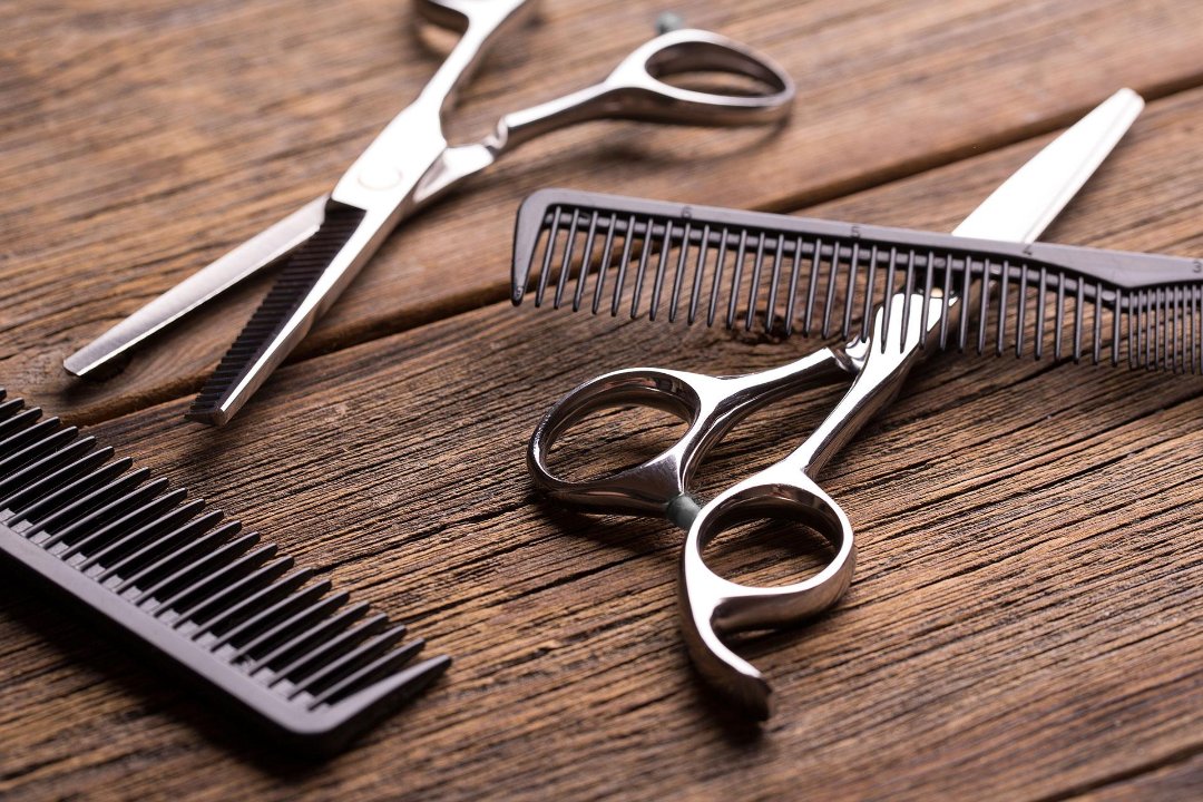 Barbertjaaks, Voorburg, Zuid-Holland