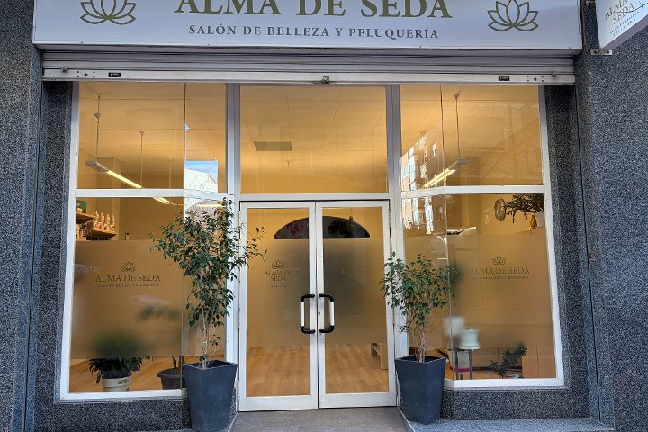 ALMA DE SEDA