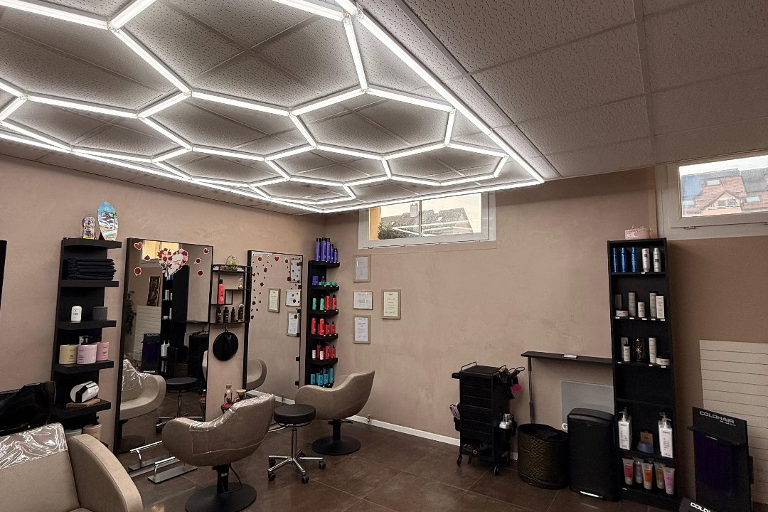 Le Salon Dotty, Canton de Vaud