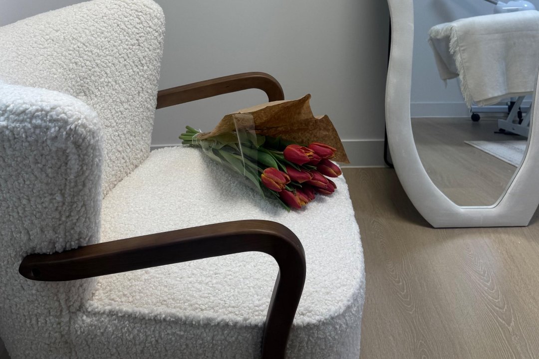 Lisse Aesthetics, Fenton House, London