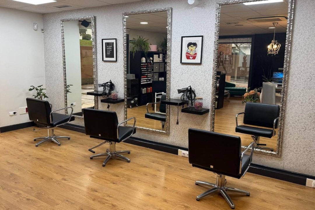 Yael Ile - Apaindegia, Bergara