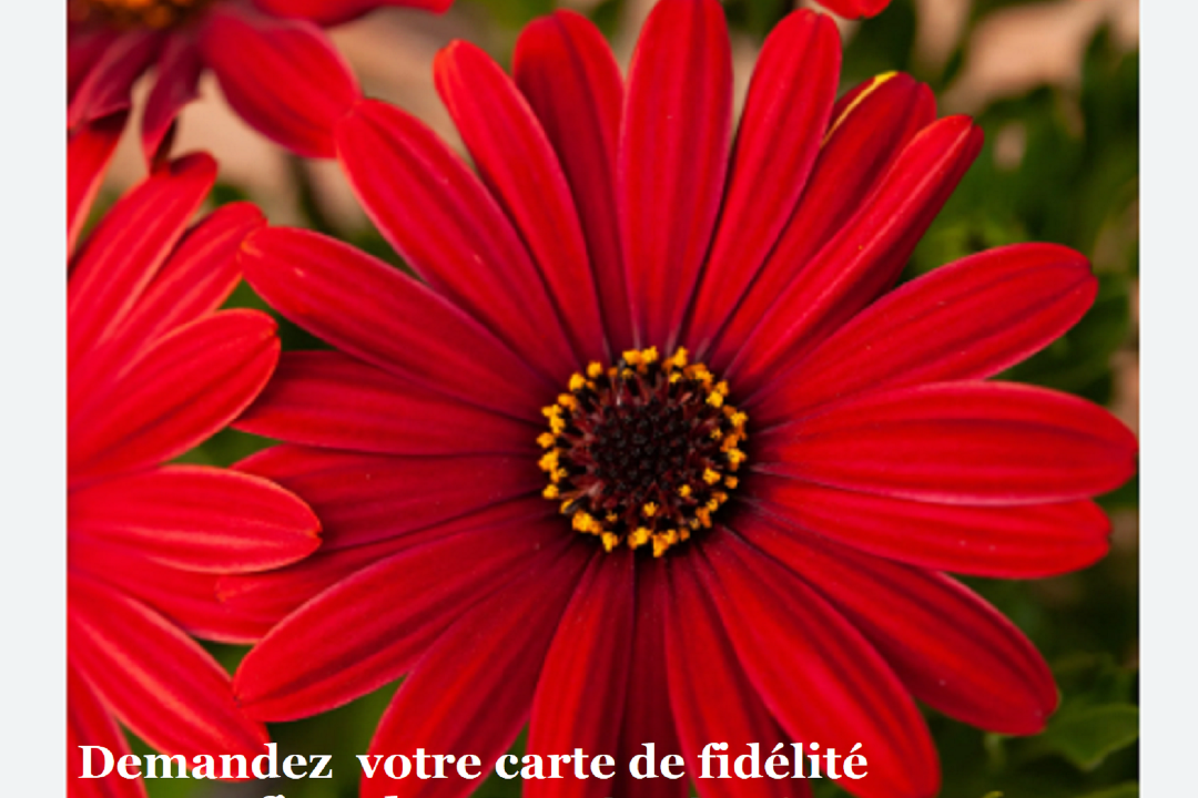 NAILS ST VICTOR, Boulevard Saint-Michel, Paris