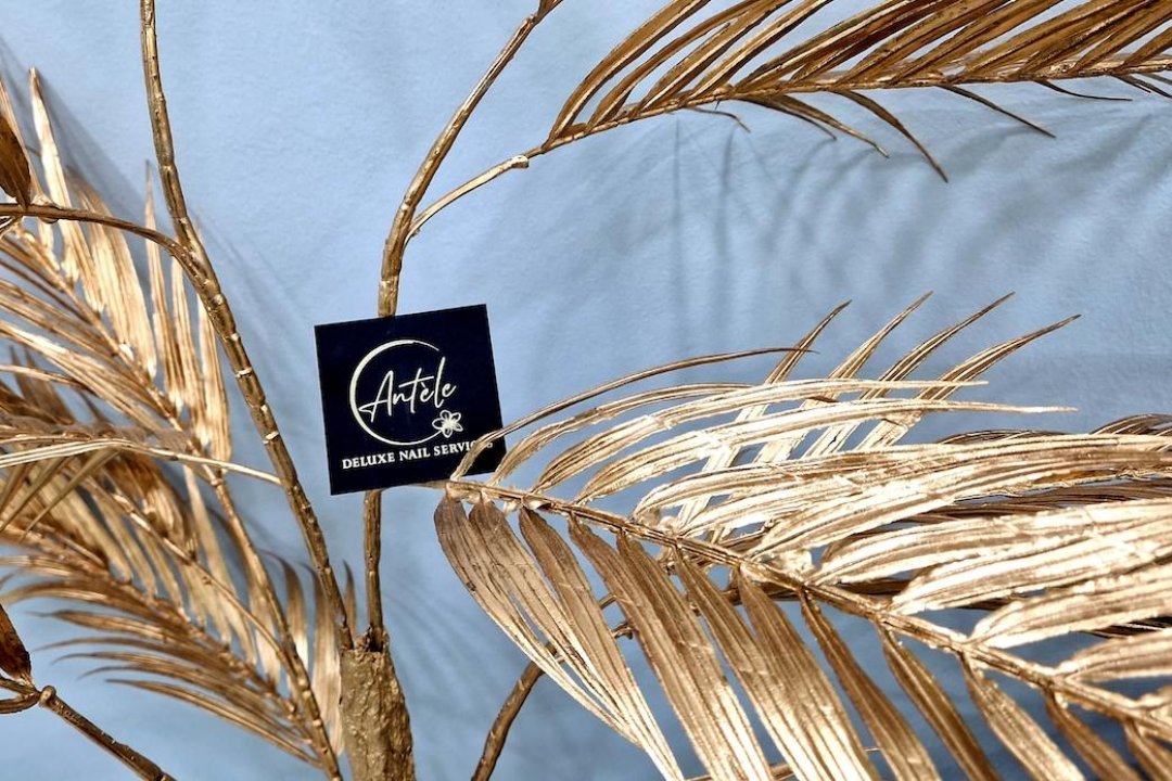 Antele Deluxe Nail Services, Nea Ionia, Αττική