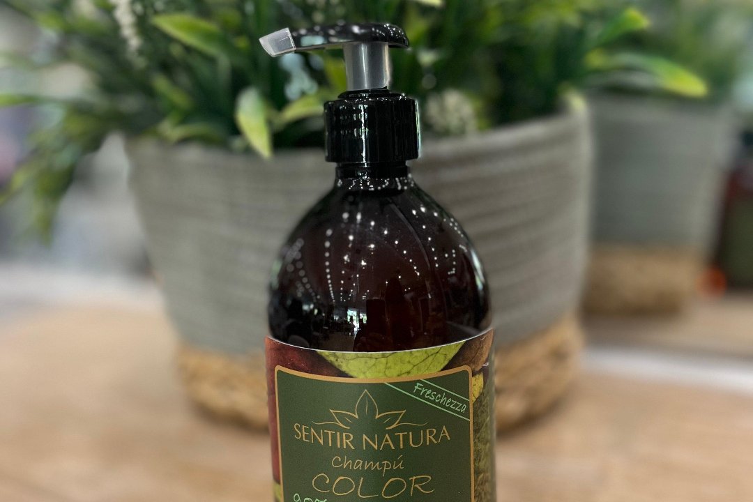 La Riché Pozuelo, Distrito Municipal, Comunidad de Madrid