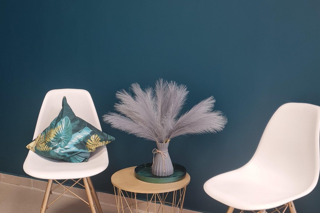 Jūsų veido asistentė, Pempininkai, Klaipeda