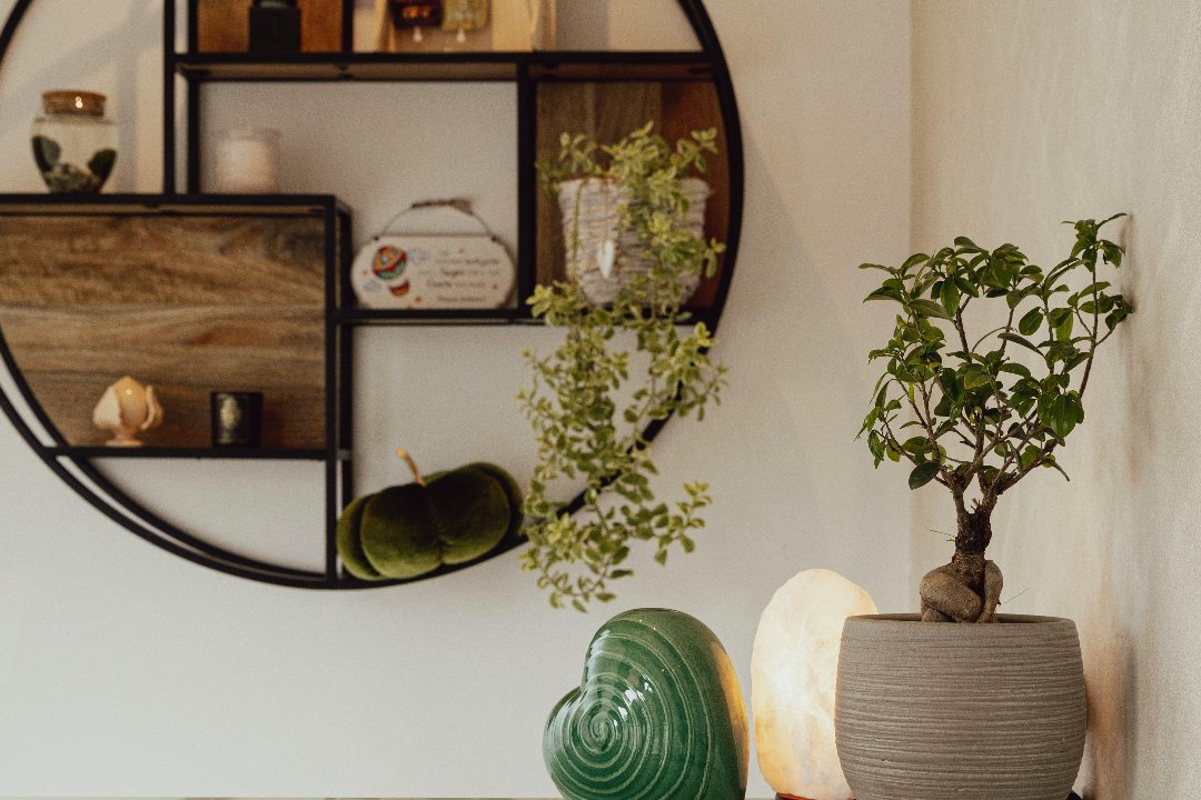 Maison Beauty, Conegliano, Veneto