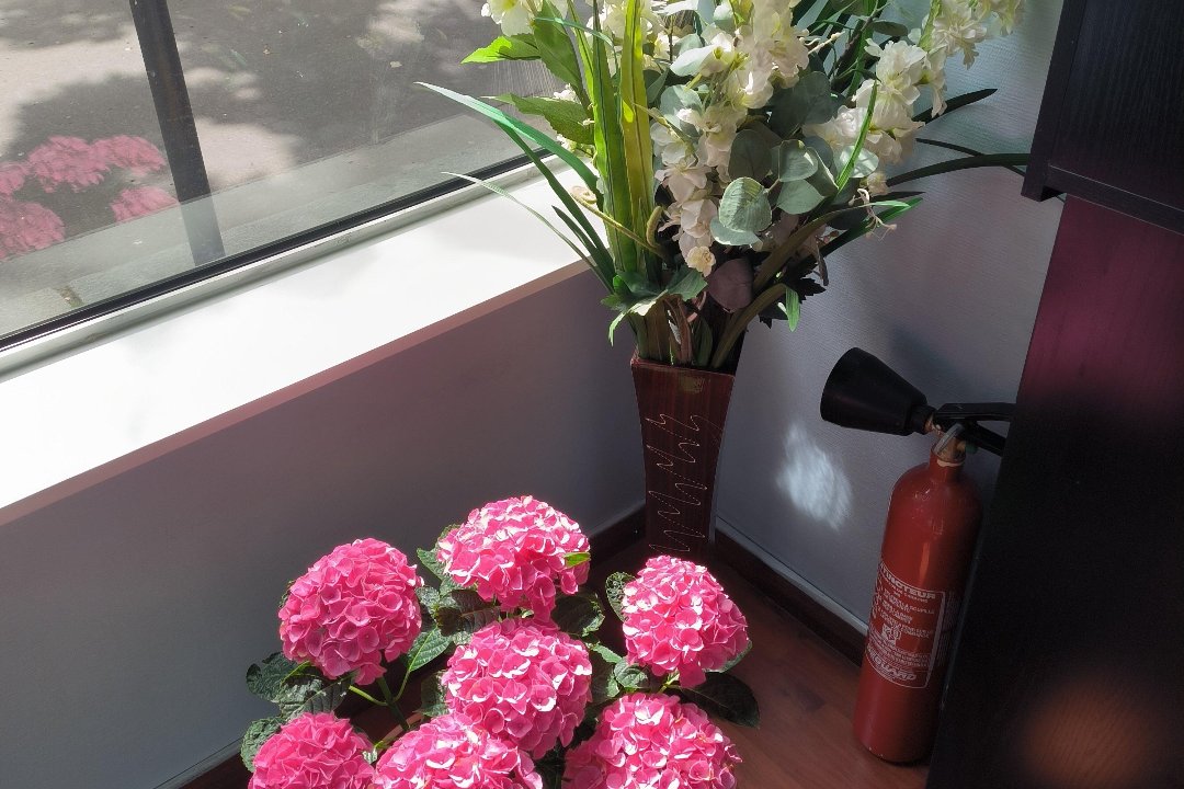 Asian Zen, 15e arrondissement, Paris