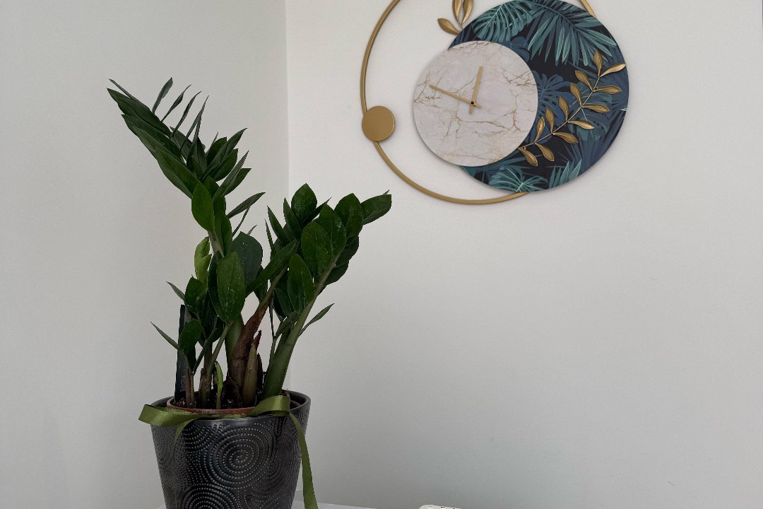 AB Beauty Salon, Monserrato, Città metropolitana di Cagliari