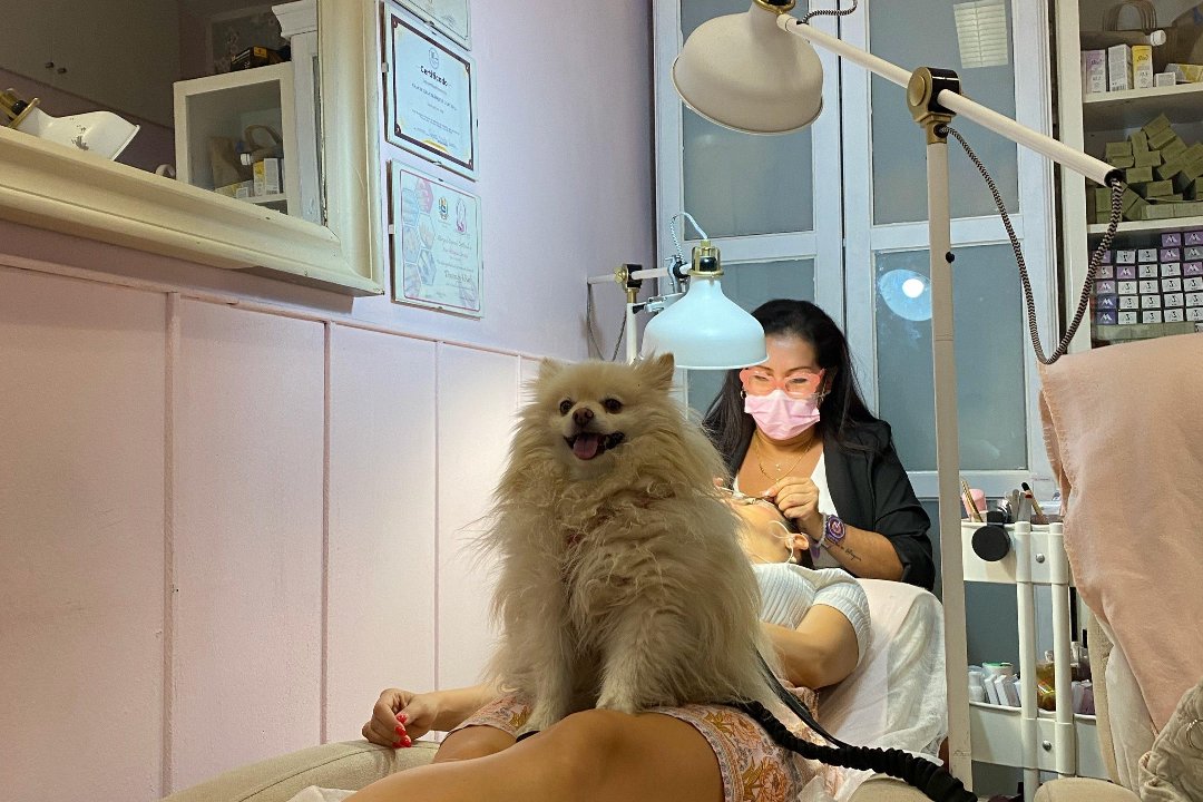 Anita La Venezolana Venezolanas Salón, Príncipe de Vergara, Madrid