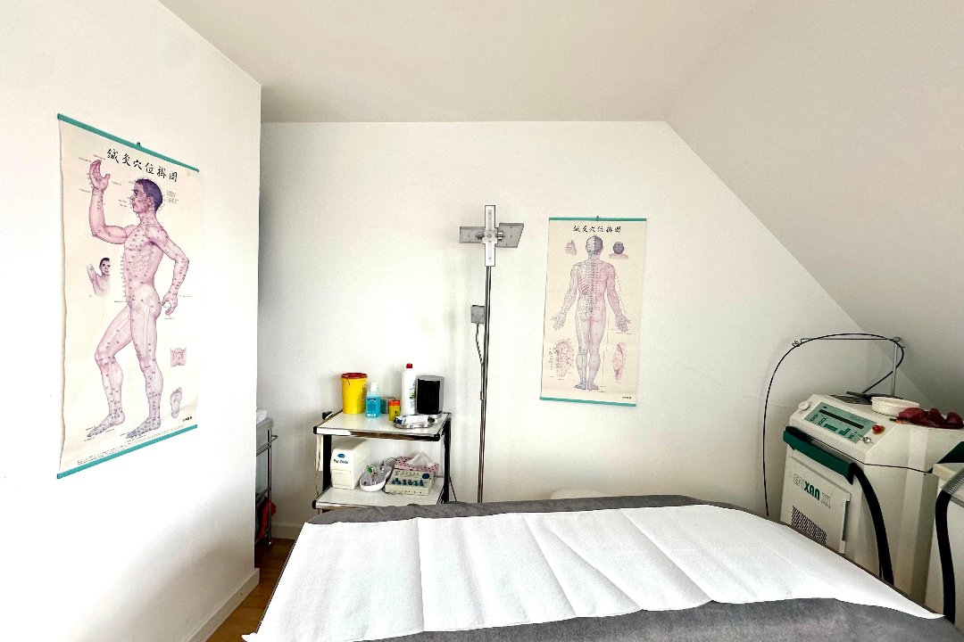 Praxis für Akkupunktur und Traditionelle Chinesische Medizin, Oberwiesenfeld, München