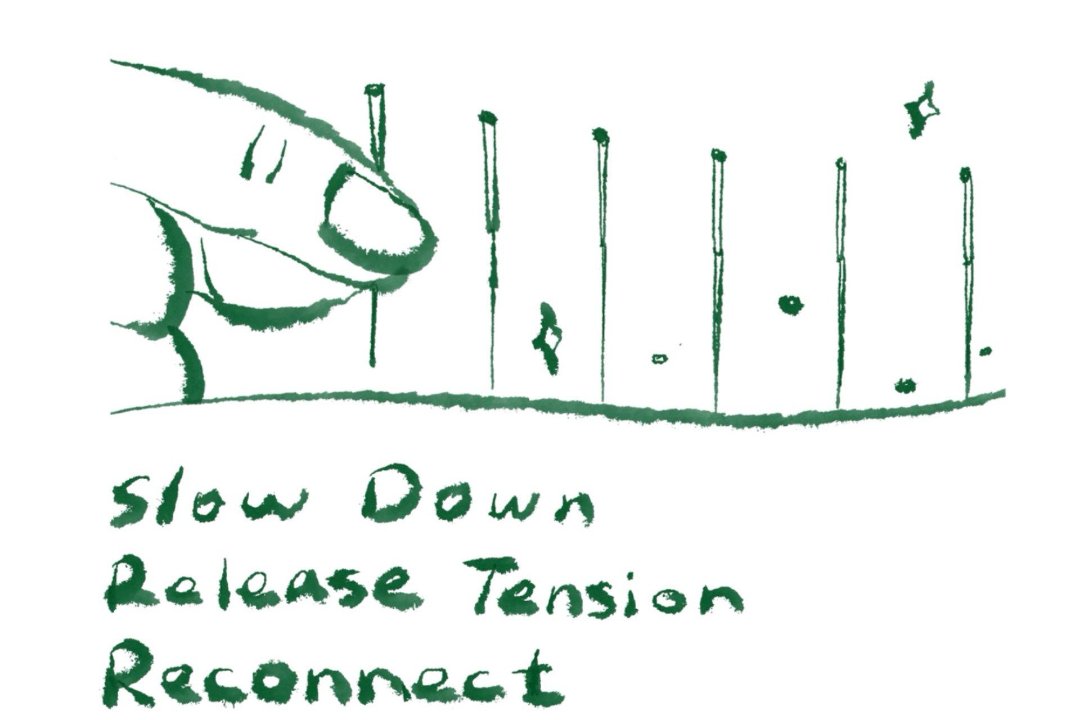 Focus Point Acupuncture & Chinese Medicine, Blackheath, London