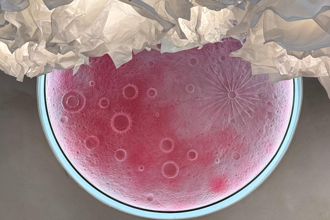 A.NI Nail The Edge, Centrale, Milano