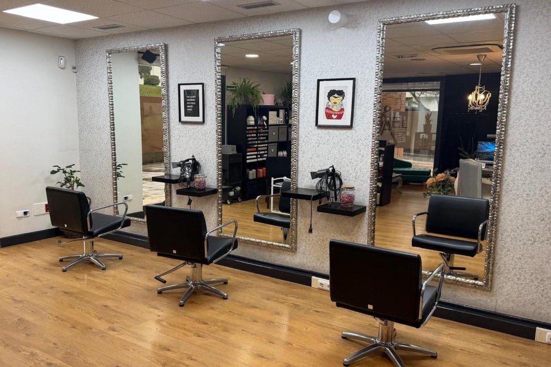 Yael Ile - Apaindegia, Bergara