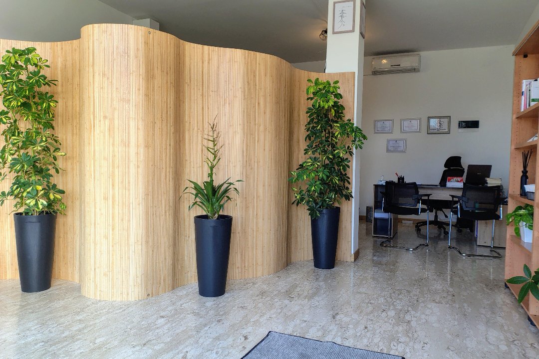 Non Solo Corpo - Studio Olistico di Michele Mazzucato, Abano Terme, Veneto