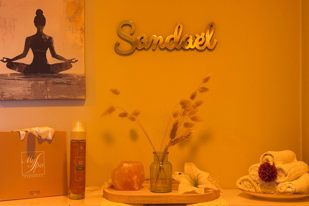 SANDAEL, Blagnac, Haute-Garonne