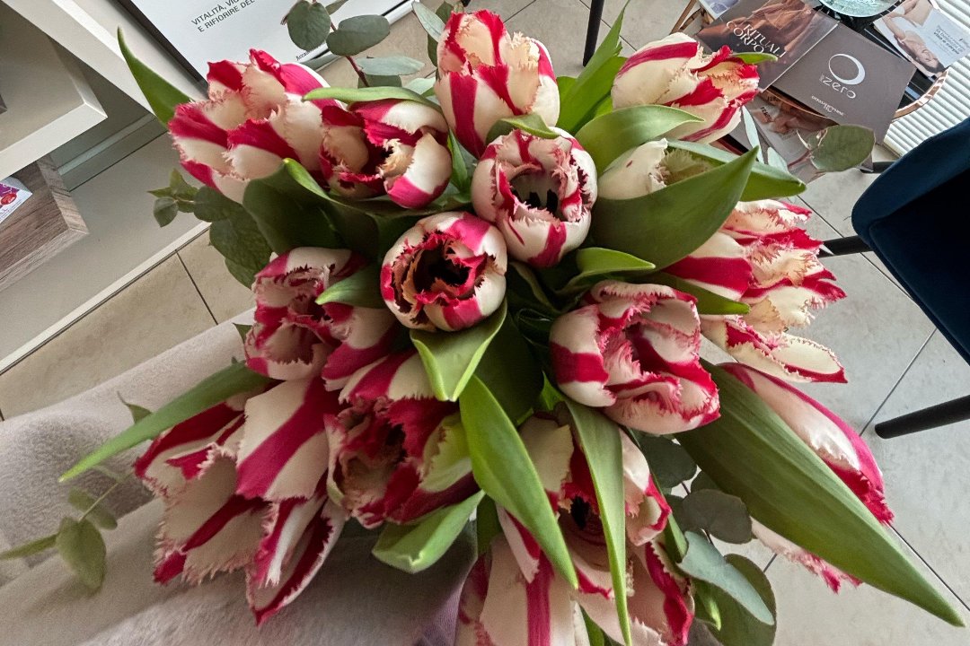 Estetica Madame Istituto di Bellezza, Lamarmora, Brescia