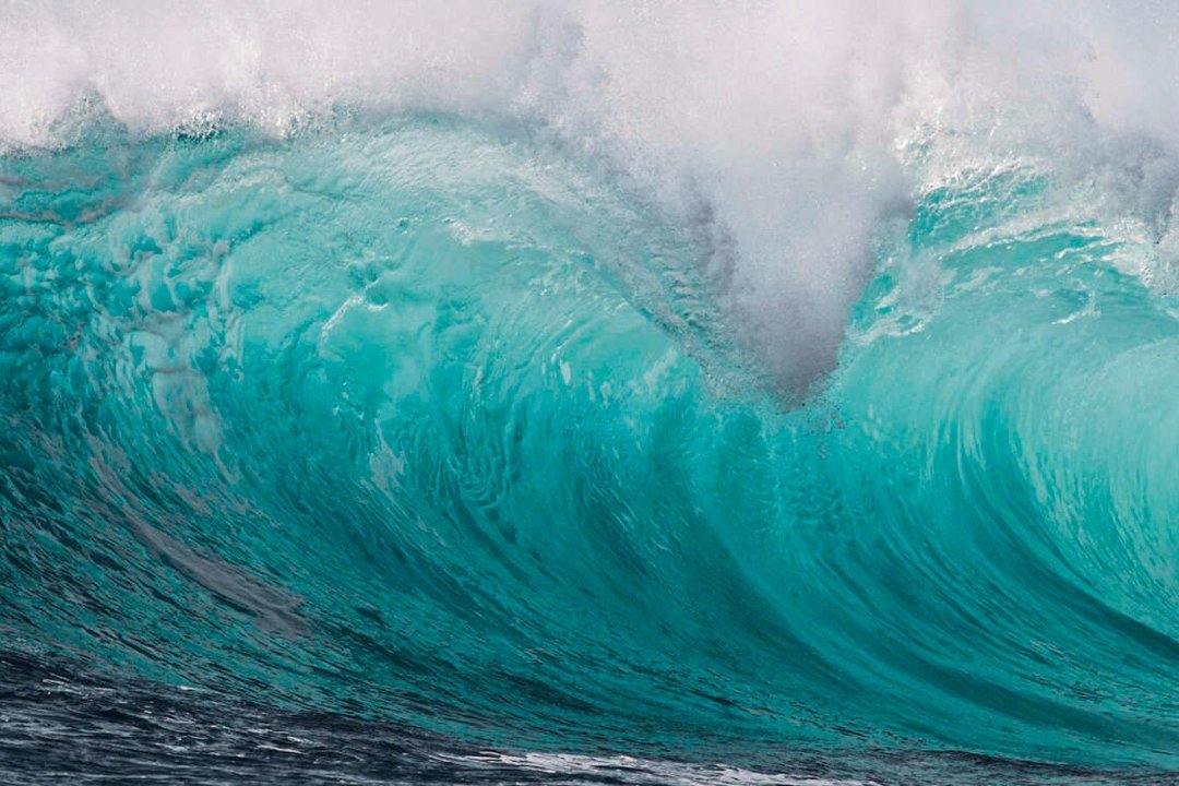 EDTD, Vegueta y Cono Sur, Las Palmas