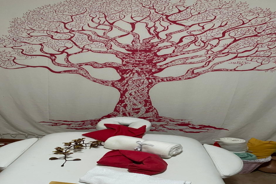 Rosa Silva - Acupunctura Massagens & Reiki, Anadia