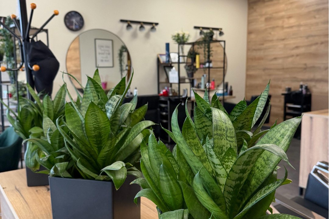 studija Pèmpė pas Viktorija, Perkunkiemis, Vilnius