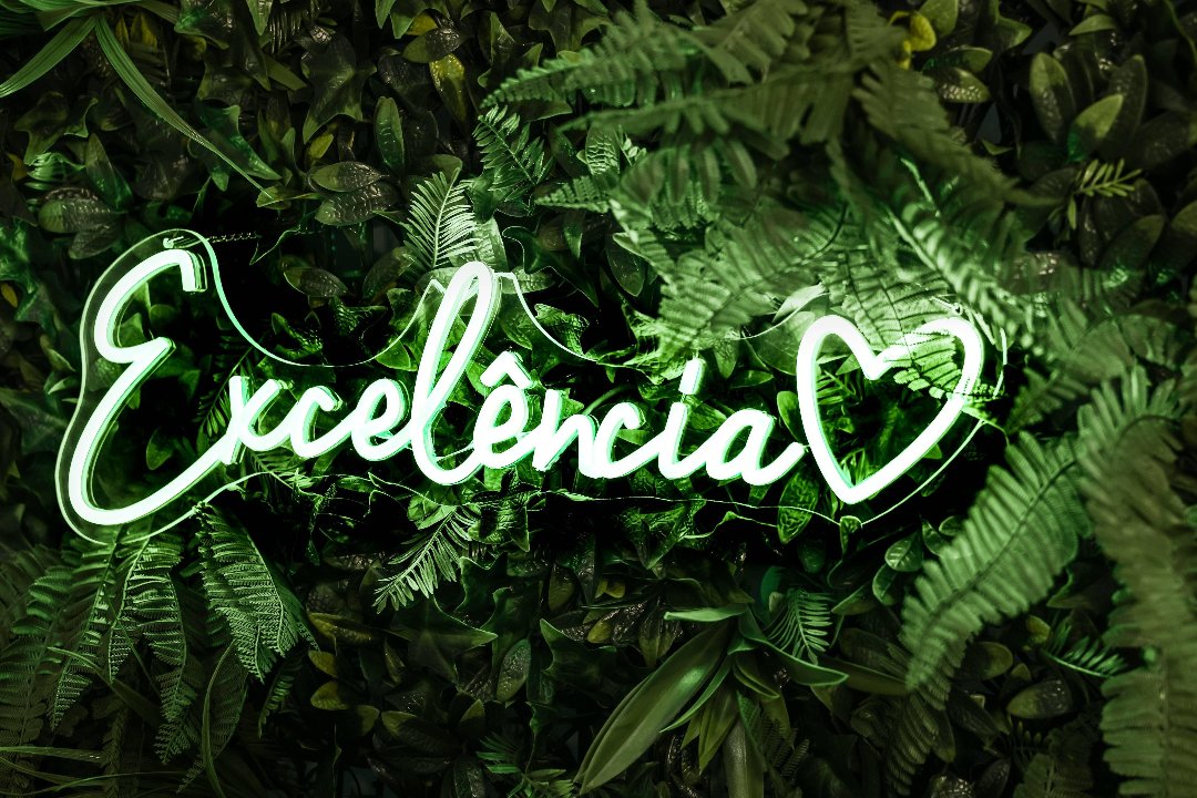 Excelência, Ílhavo