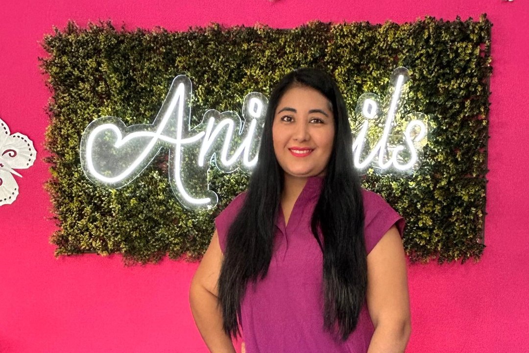 Aninails, Cort, Palma de Mallorca