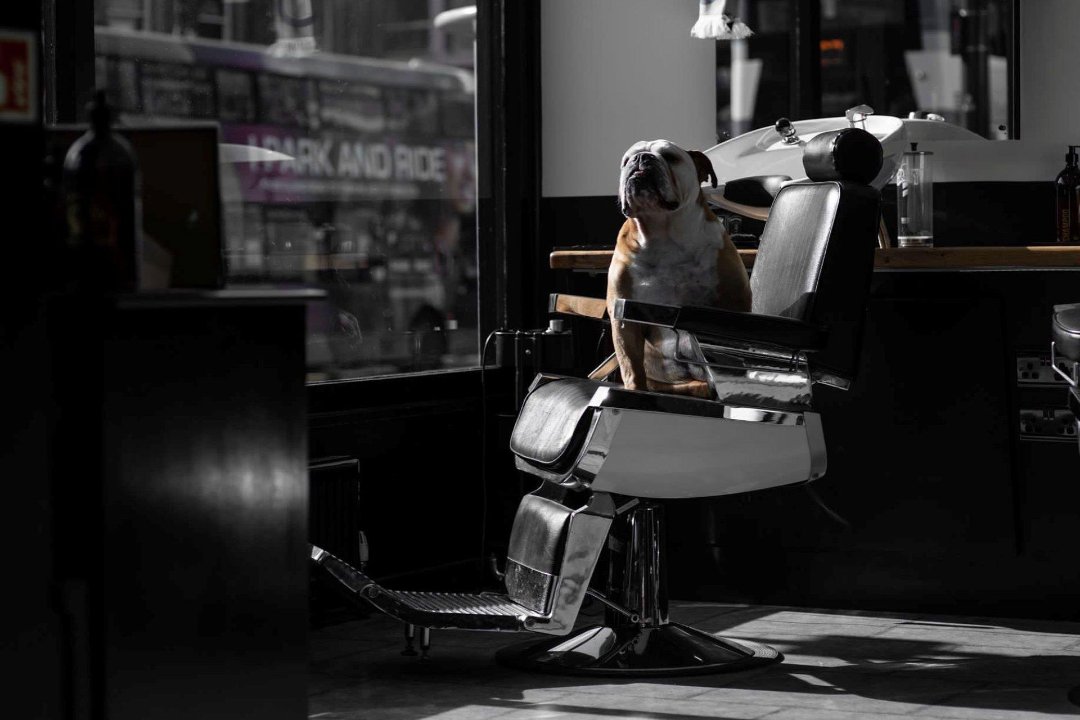 Jacksonxbarber, Corn Exchange, Leeds