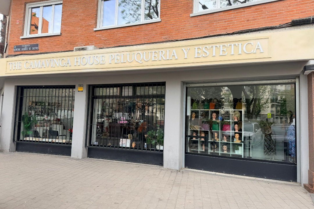 The Camavinga House, Canal, Madrid