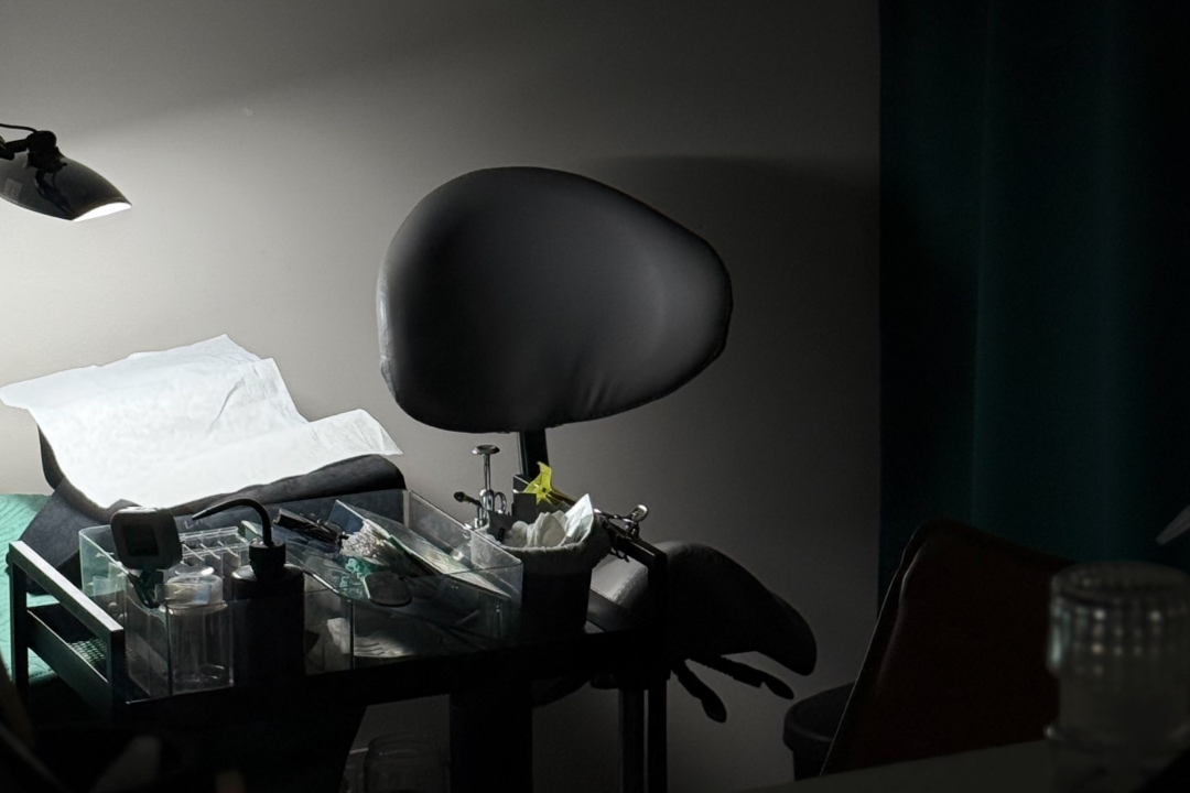 vladlash_vilnius, Šnipiškes, Vilnius