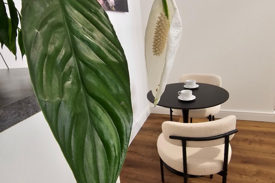 Salon We, Unterbilk, Düsseldorf