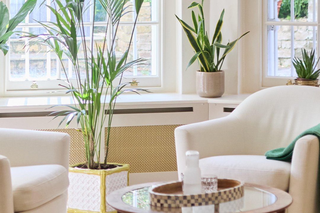 5 Cavendish - Skin & Wellness, St Johns Wood, London
