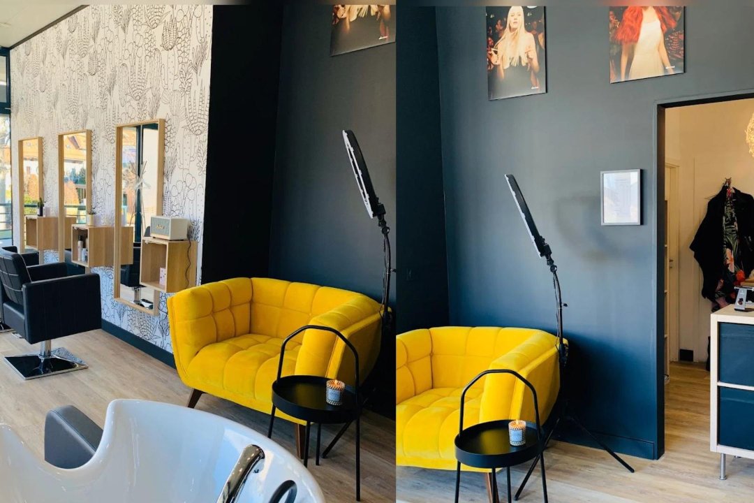 Commedesfilles le salon, Canton de Genève