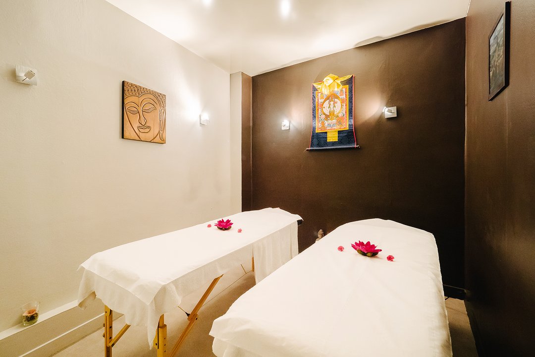 La Nature du Tibet, Necker, Paris