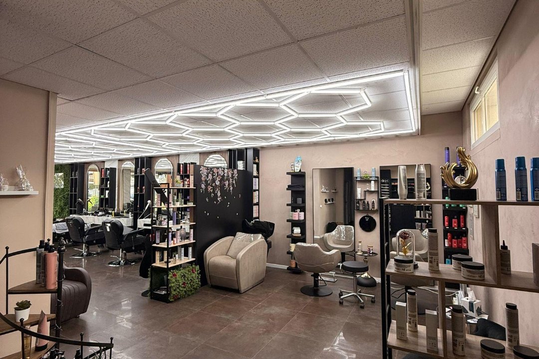Le Salon Dotty, Kanton Waadt