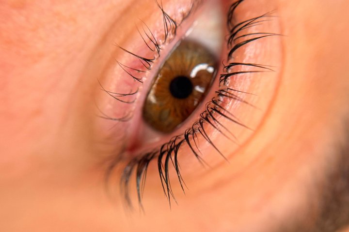 Ritual Alma Estudio - Sourcils & cils Elche - Photo de galerie - OneBooking