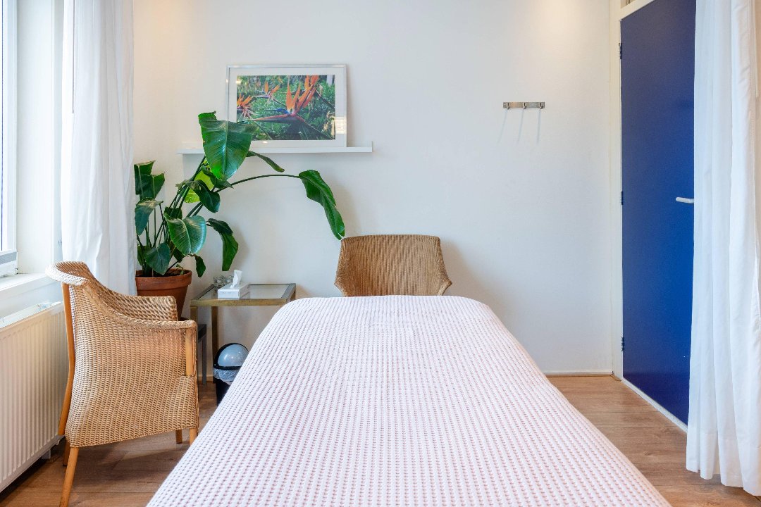 Praktijk voor Houdingstherapie Hercules, Buiksloterham, Amsterdam