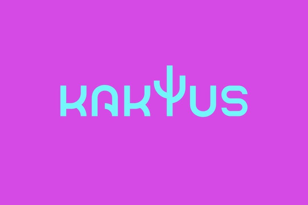 Kaktus Láser, La Creu del Grau, Valencia