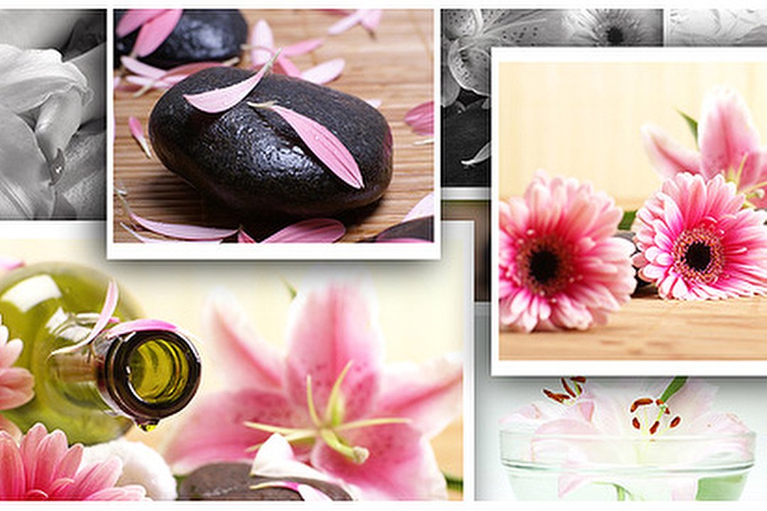 CN Holistics, Holsworthy, Devon