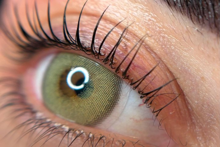 Karen Vega Trainer & Lash Maker - Sourcils & cils Genova - Photo de galerie - OneBooking