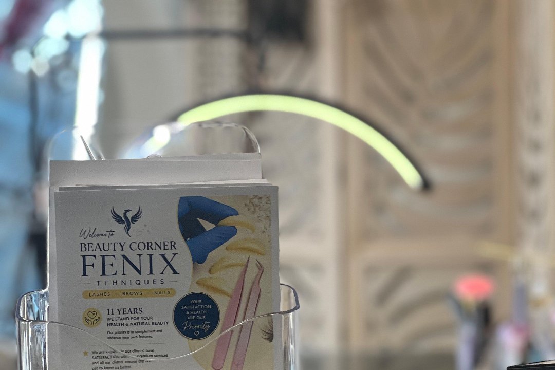 Fenix Lashes Brows & Nails St Pancras, King's Cross St. Pancras, London